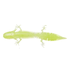 SAVAGE GEAR Gumená nástraha Ned Salamander 7,5cm 5ks/bal. - Clear Chartreuse