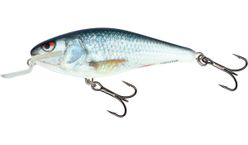 SALMO Vobler EXECUTOR SHALLOW RUNNER 5cm/5g Floating - Real Dace