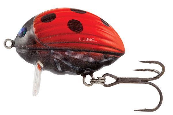 SALMO Vobler LIL BUG 3cm - Ladybird